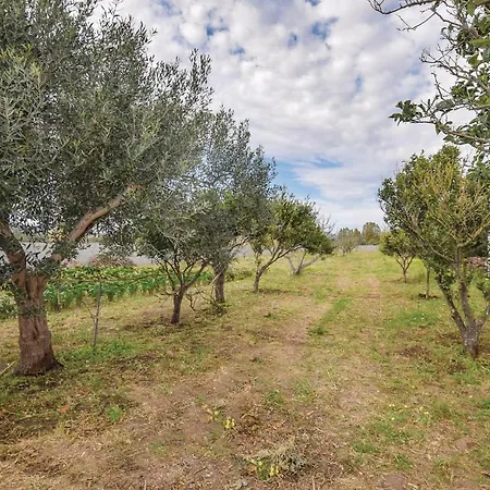 Holiday home Milia